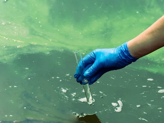 Mano con guante tomando una muestra de agua de aguas residuales contaminadas